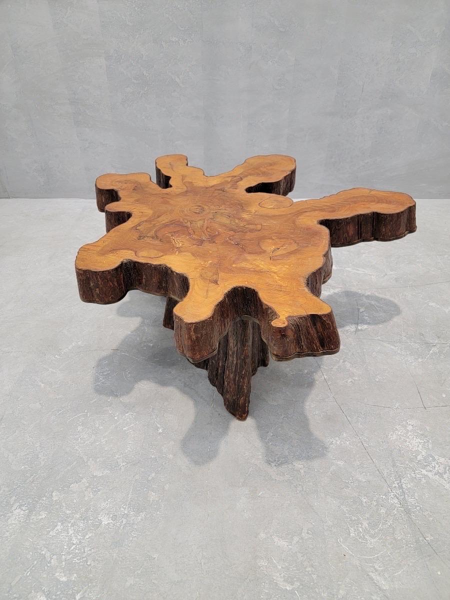 Wood Vintage Single Slab Live Edge Natural Free-form Tree Cut Coffee Table For Sale
