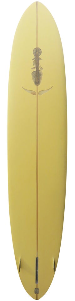 Vintage Skip Frye Summer Egg Surfboard