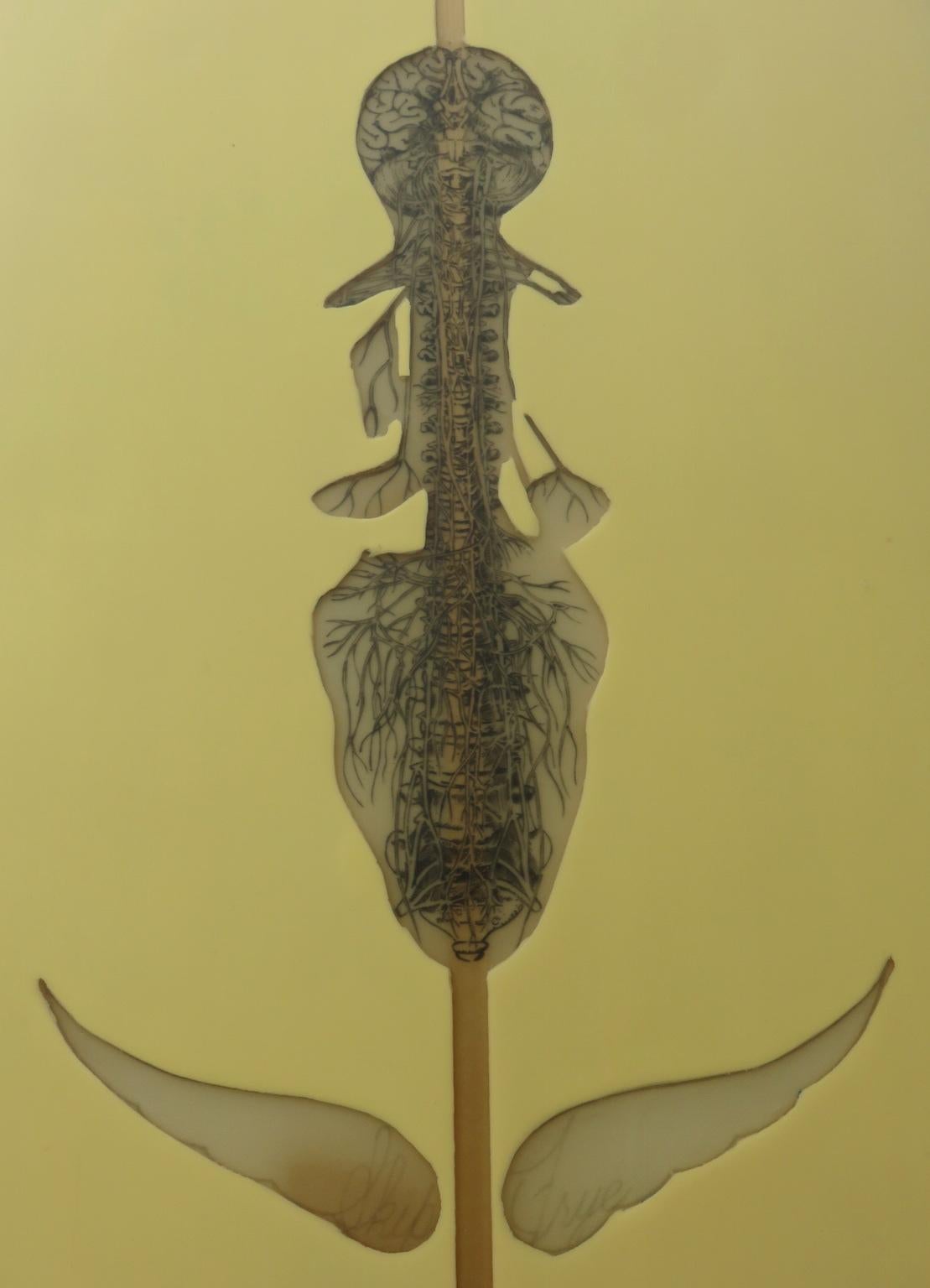 vieille planche de surf en bois