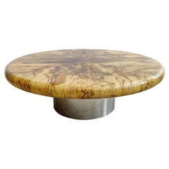 Vintage Snakeskin Coffee Table on Steel Base