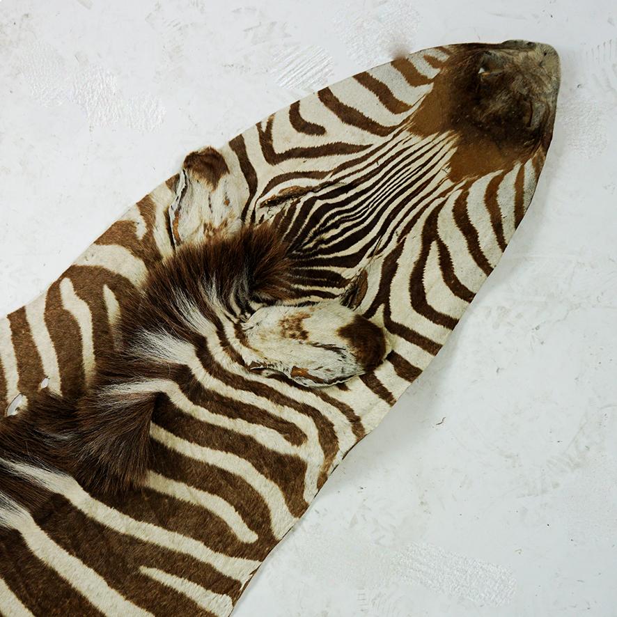 Hand-Crafted Vintage South African Zebra Hide