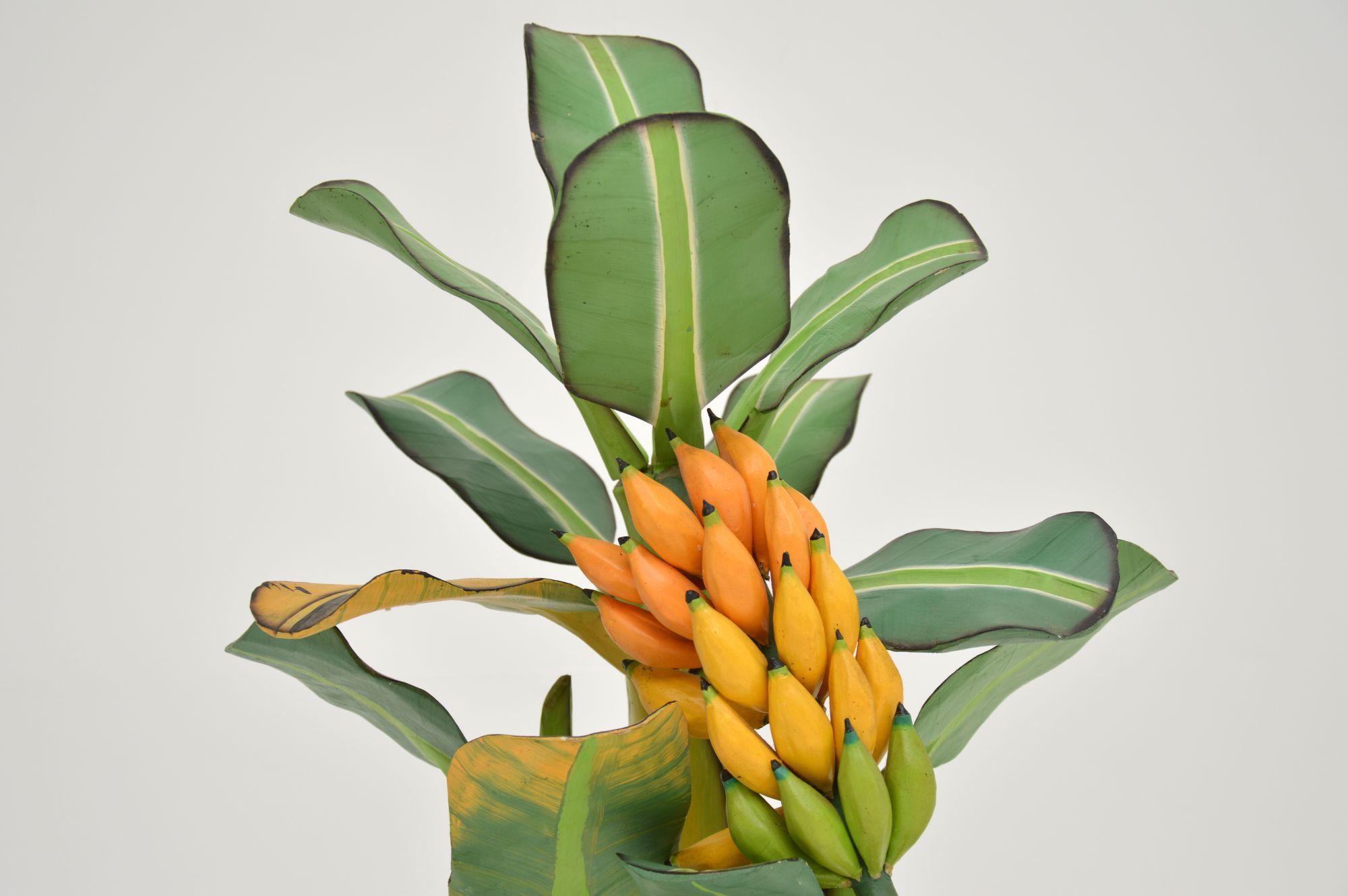 banana woods