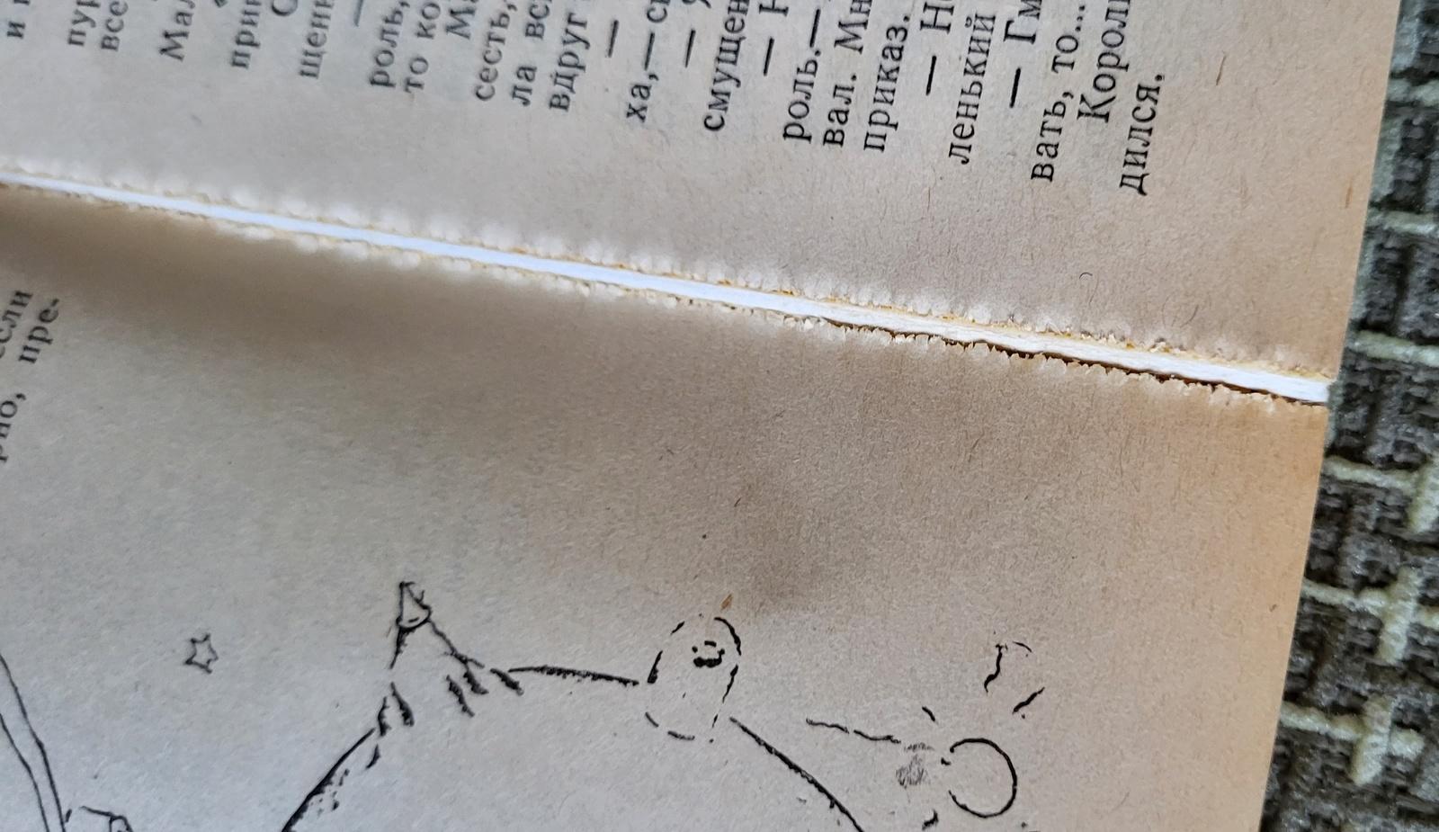 Livre soviétique d'époque : la Planète des Hommes et le Petit Prince, 1J57 en vente 2