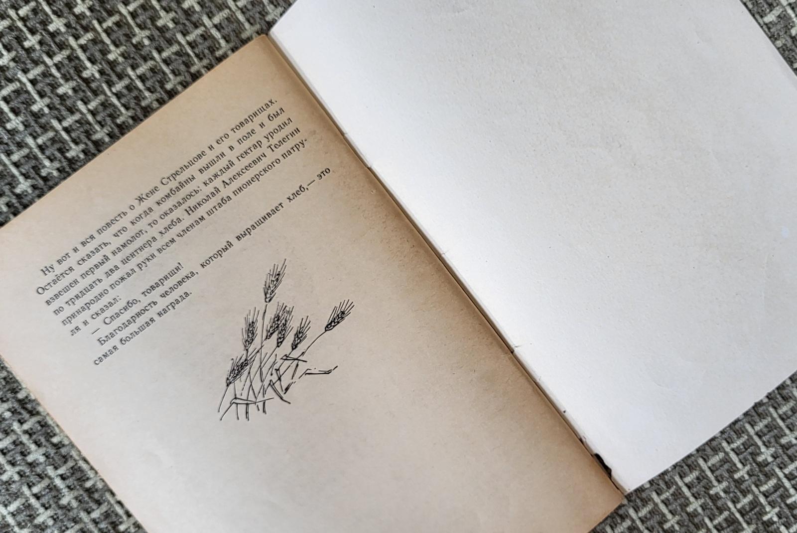 Libro sovietico d'epoca per bambini: 'Crimson Caps' di Ivan Vasiliev, 1j45 in vendita 2