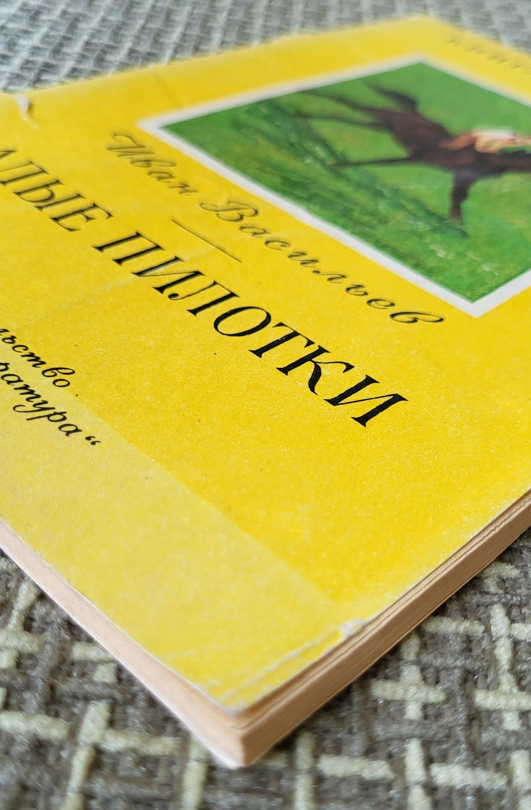 Libro sovietico d'epoca per bambini: 'Crimson Caps' di Ivan Vasiliev, 1j45 in vendita 4