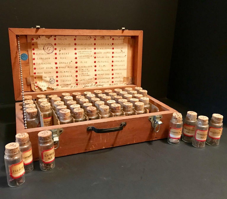 Vintage Specimen Box, Botanical Assemblage, Collection of Natural