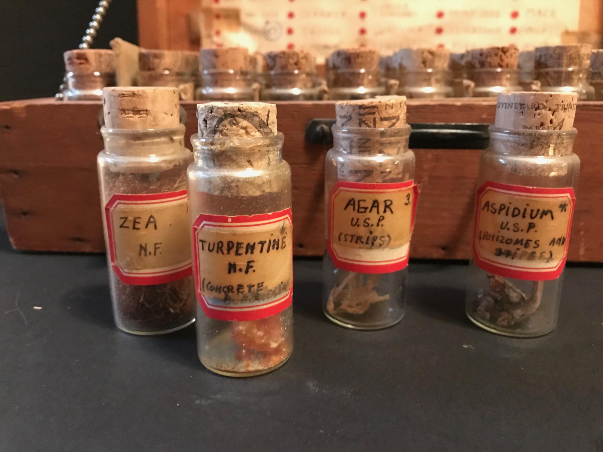 Vintage Specimen Box, Botanical Assemblage, Collection of Natural Curiosities 1