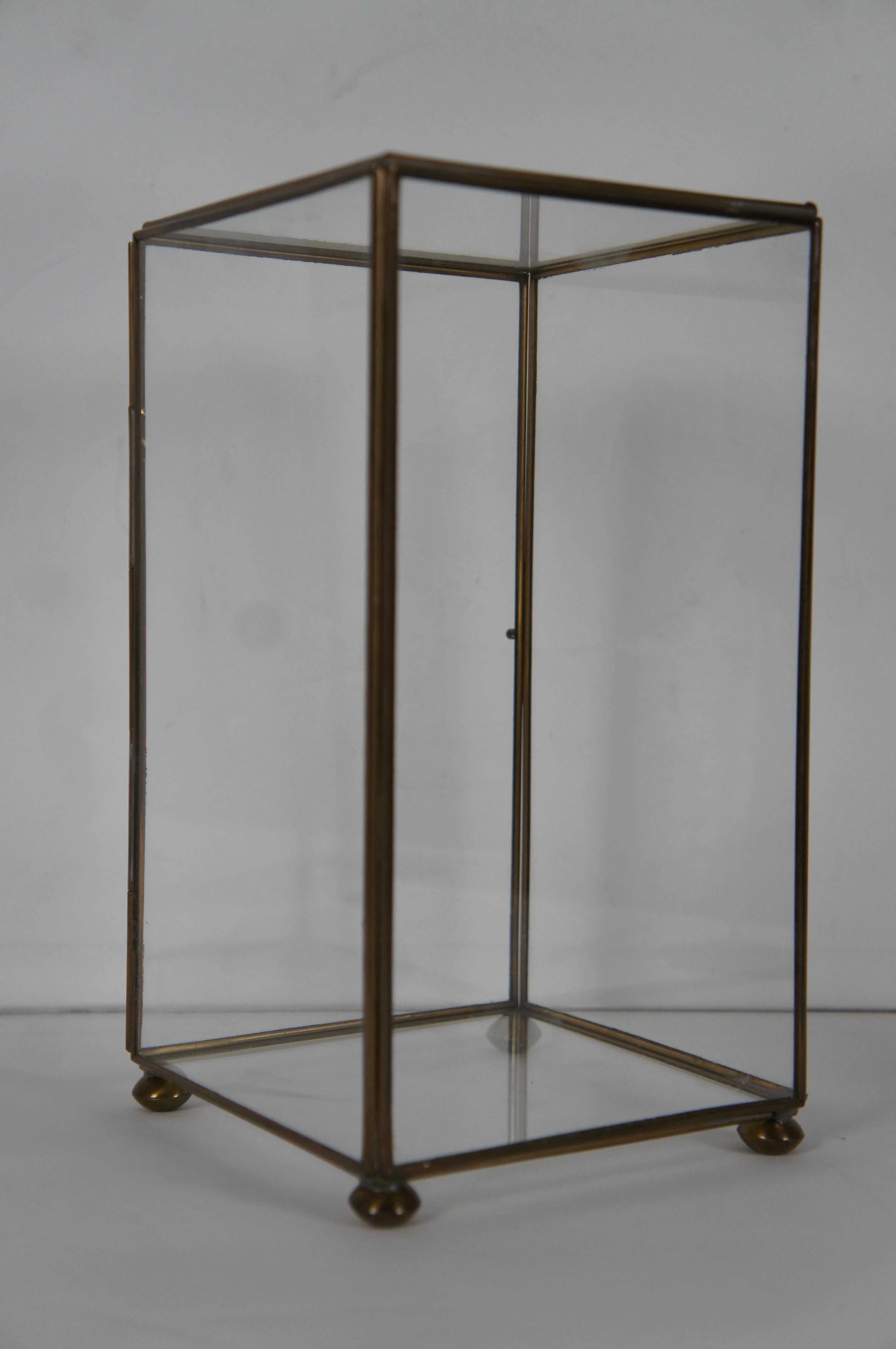 Vintage Spiked Muschel Messing Stand Glas Vitrine Curio Schatulle Display 9