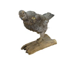 Vintage Spruce Grouse Taxidermy Ptarmigan Pheasant Bird Mount 17"