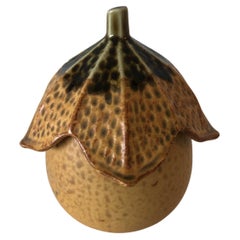 Vintage Squash Japanese Mustard Dispenser with Lid