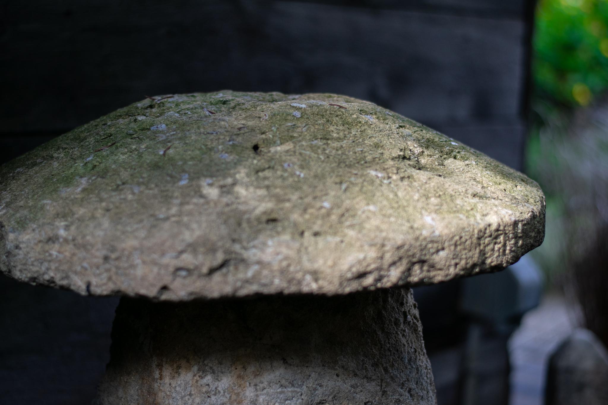 Staddle stones have a long agricultural history in Europe as a clever way to support granaries, hay ricks, and beehives. Once elevated, the stones prevented the intrusion of mice and other critters from the edible goods and grains above. This