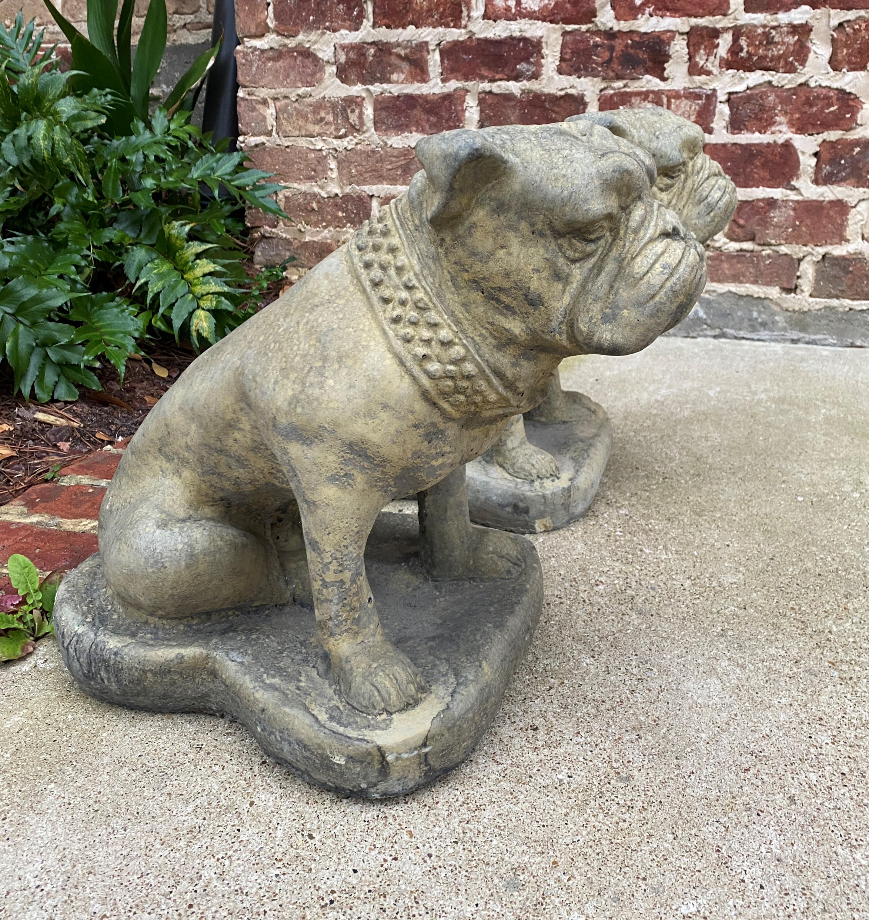 english bulldog garden statue