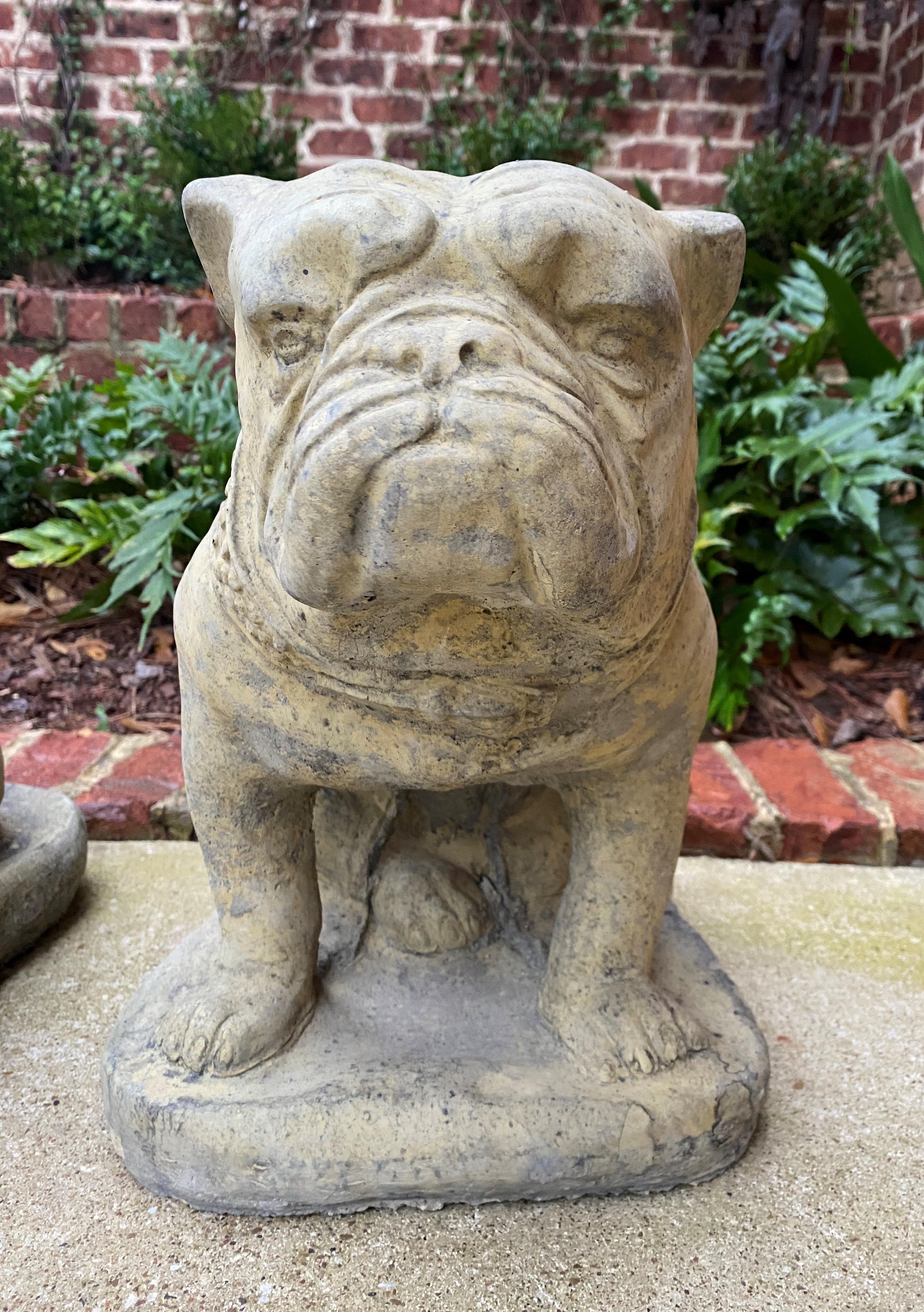 Victorian Vintage Statues Garden Figures Bulldogs Cast Stone Pair Seated Dogs