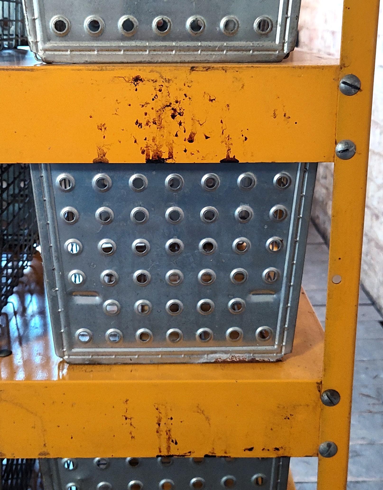 Vintage Steel Bin Storage Cabinet For Sale 11