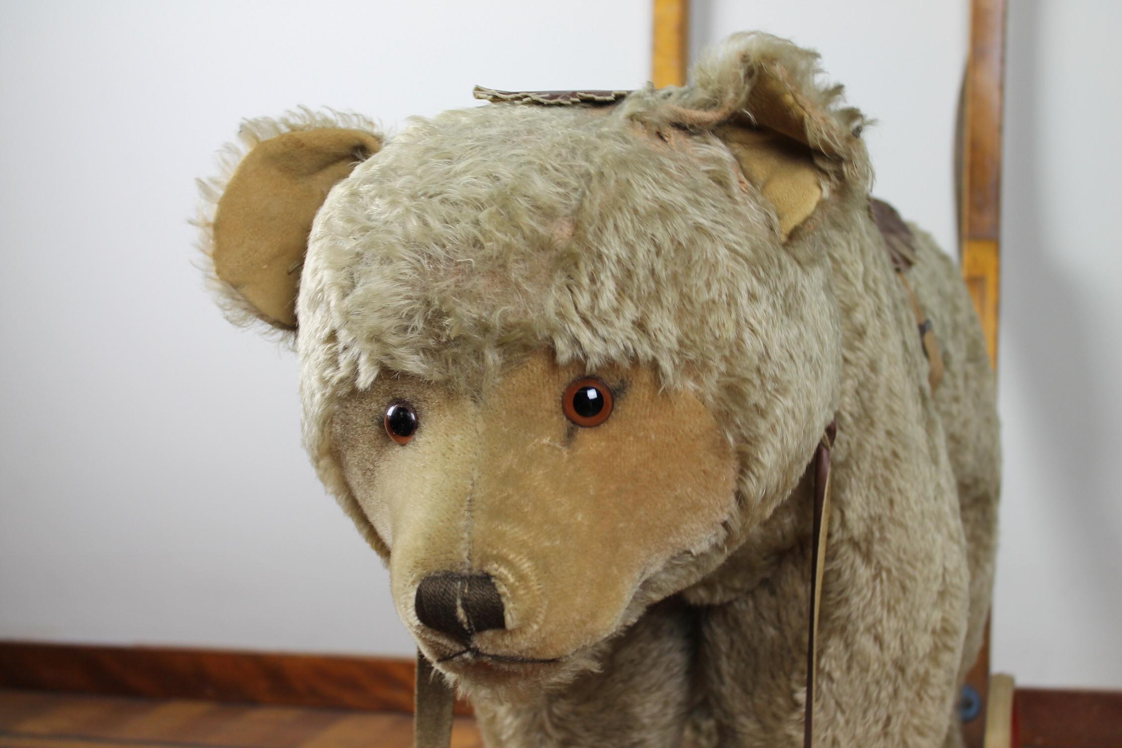 Vintage Steiff Rocking Teddy Bear, Pull Toy Bear, 1950s, Germany 6