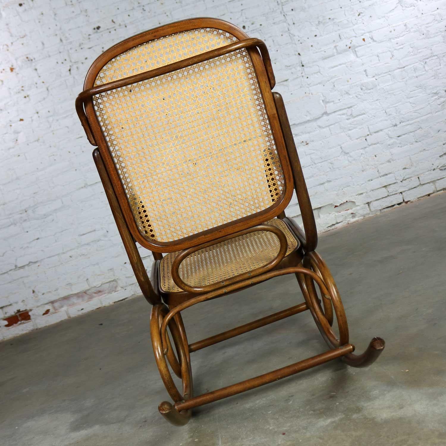 Vintage Stendig Bentwood & Cane Rocker Double Circle Design w Handle by Thonet In Good Condition In Topeka, KS