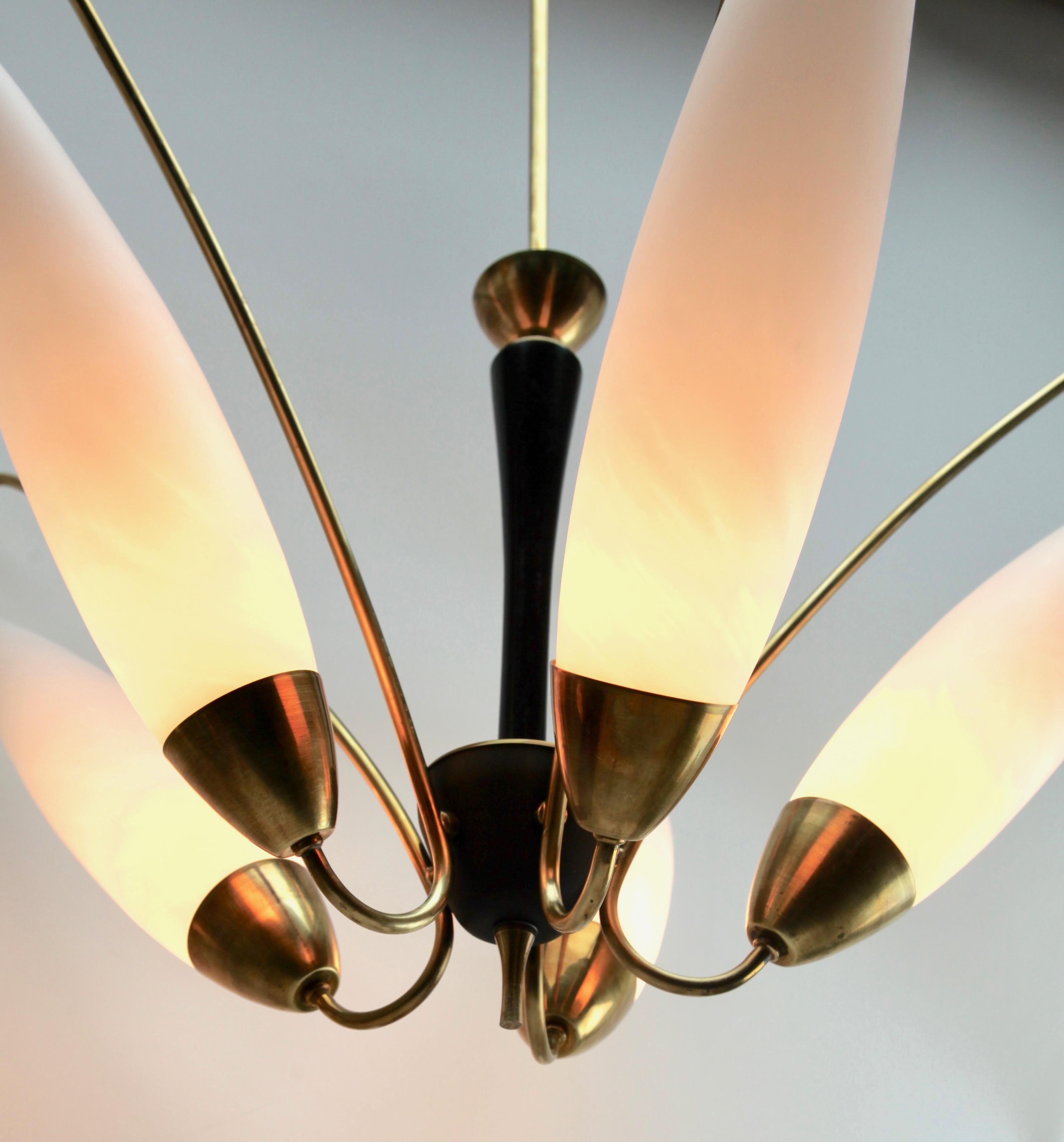 Vintage Chandelier in the Style of Stilnovo Five Arms, Italian, 1960s 4