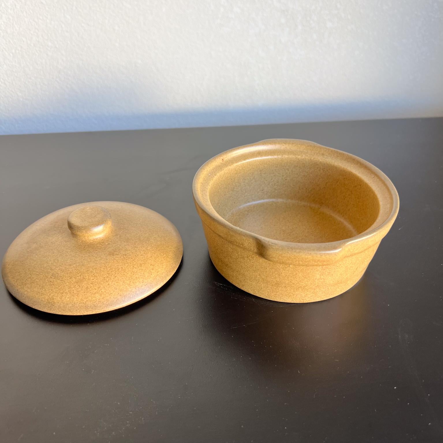 Ovaler Casserole-Topf mit Deckel aus Steingut-Keramik (20. Jahrhundert) im Angebot