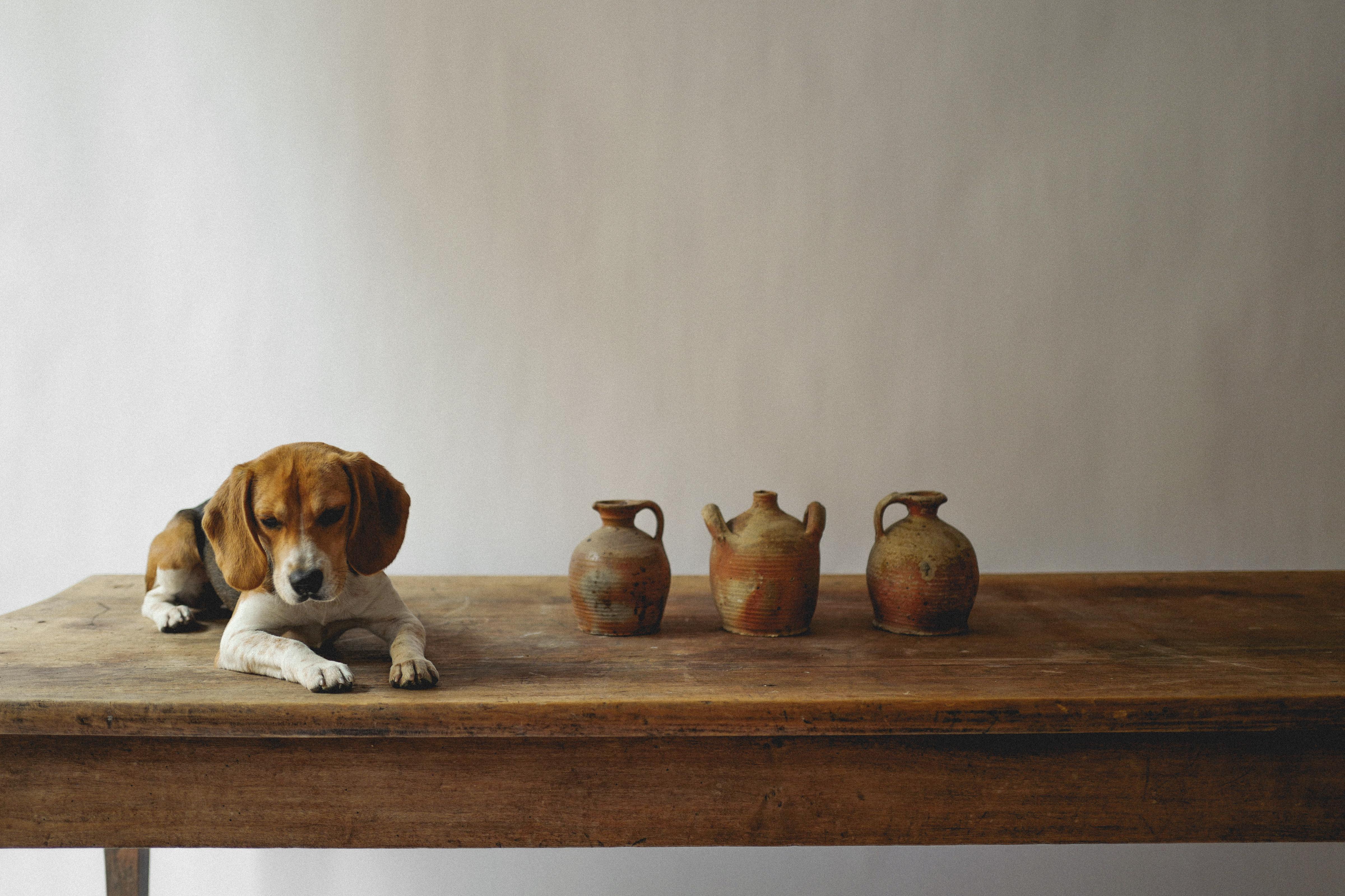 Set von 3 Vintage-Wasserkrug aus Steingut-Keramik aus der Provence im Zustand „Gut“ im Angebot in Milano, IT