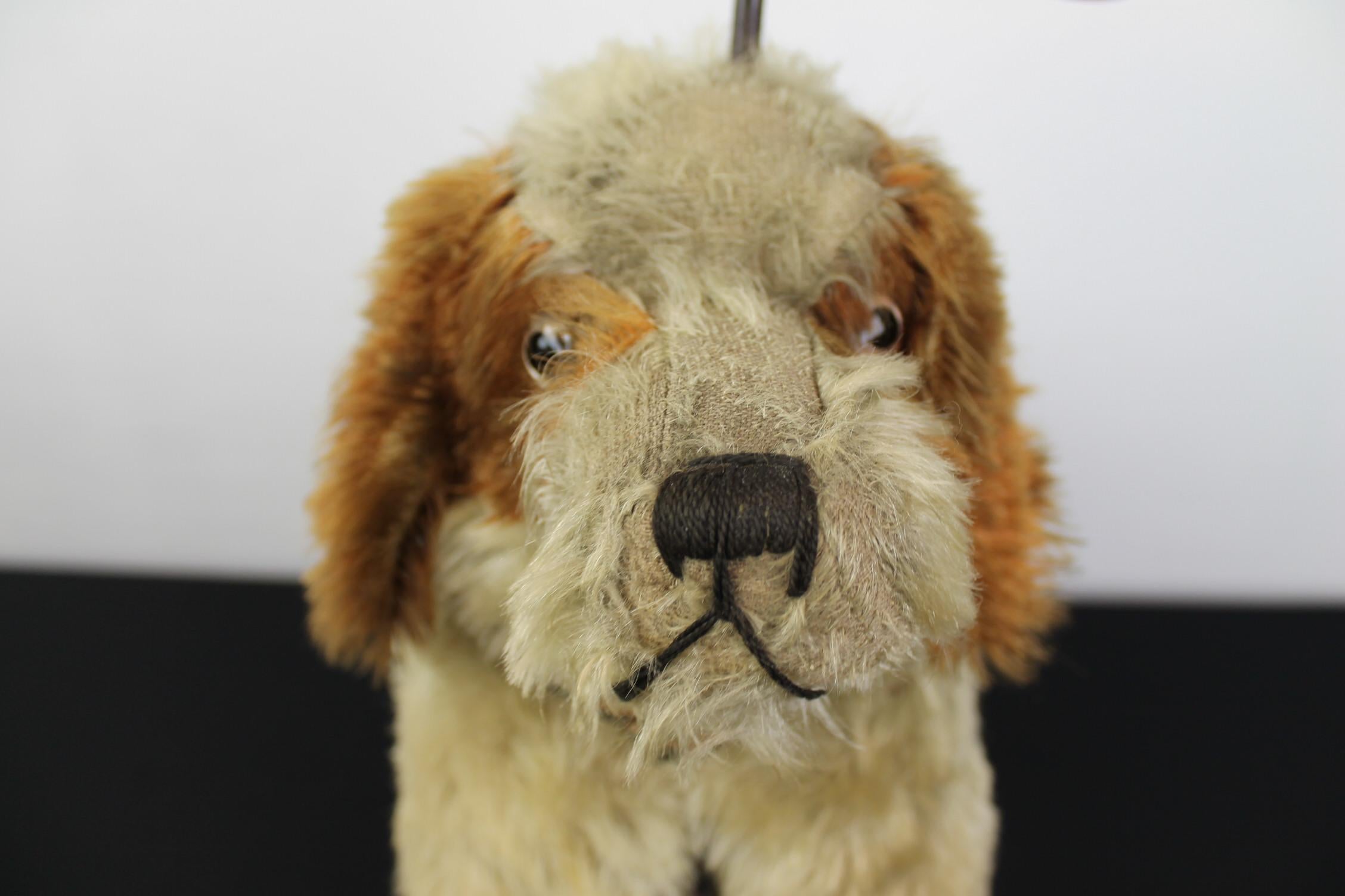 Vintage pedal toy in the shape of a dog. 
This antique toy was made by PF France; signed BTE SGDG PF FRance. 
It's a vintage mohair toy with glass eyes, stuffed with straw, wearing a collar, with steering handle, wooden pedals and full rubber