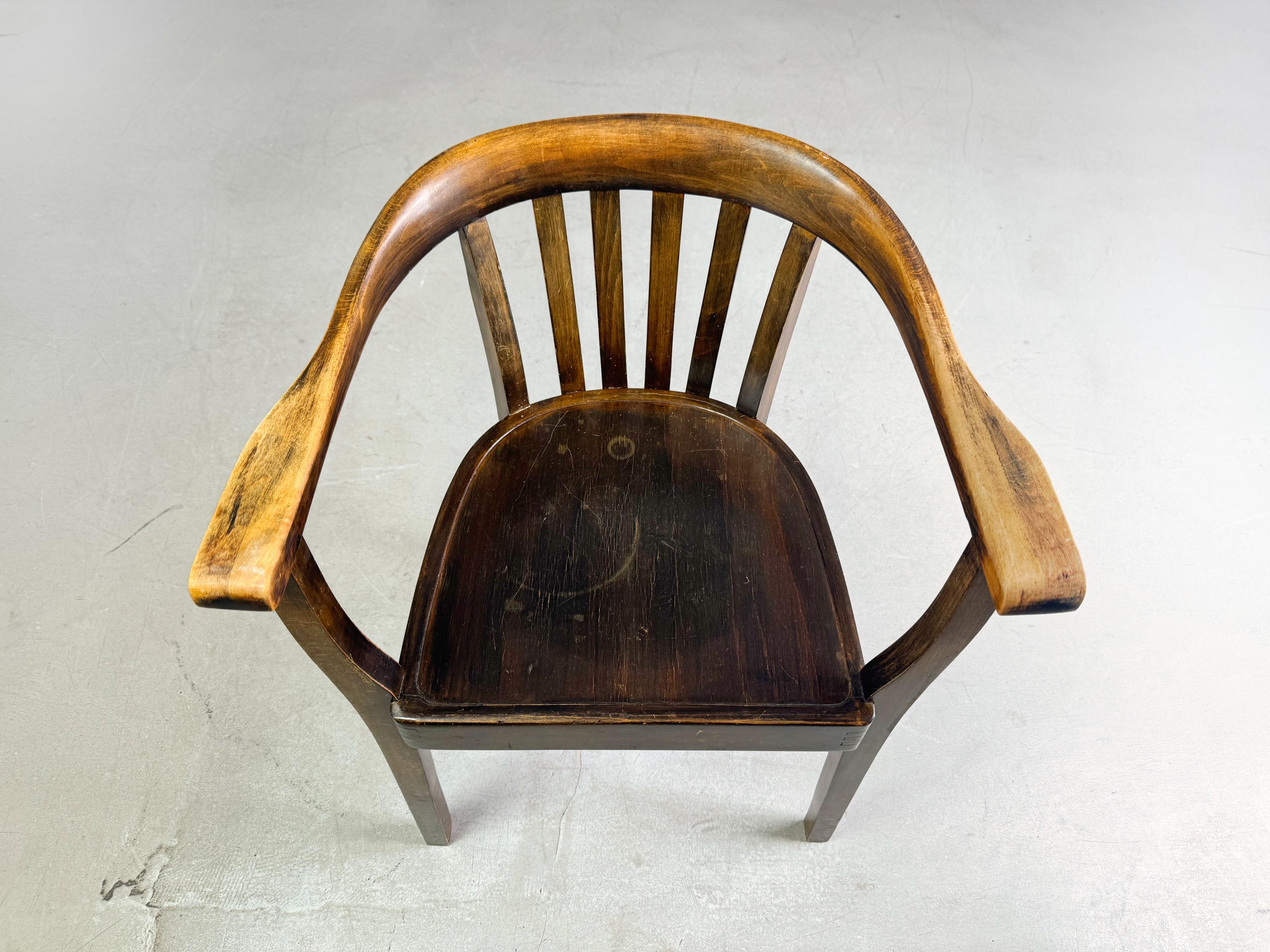Stuhl Bugholz Kaffeehaus Sessel Eiche aus der Mitte des Jahrhunderts, Vintage im Angebot 3