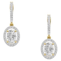 Dangle Earrings