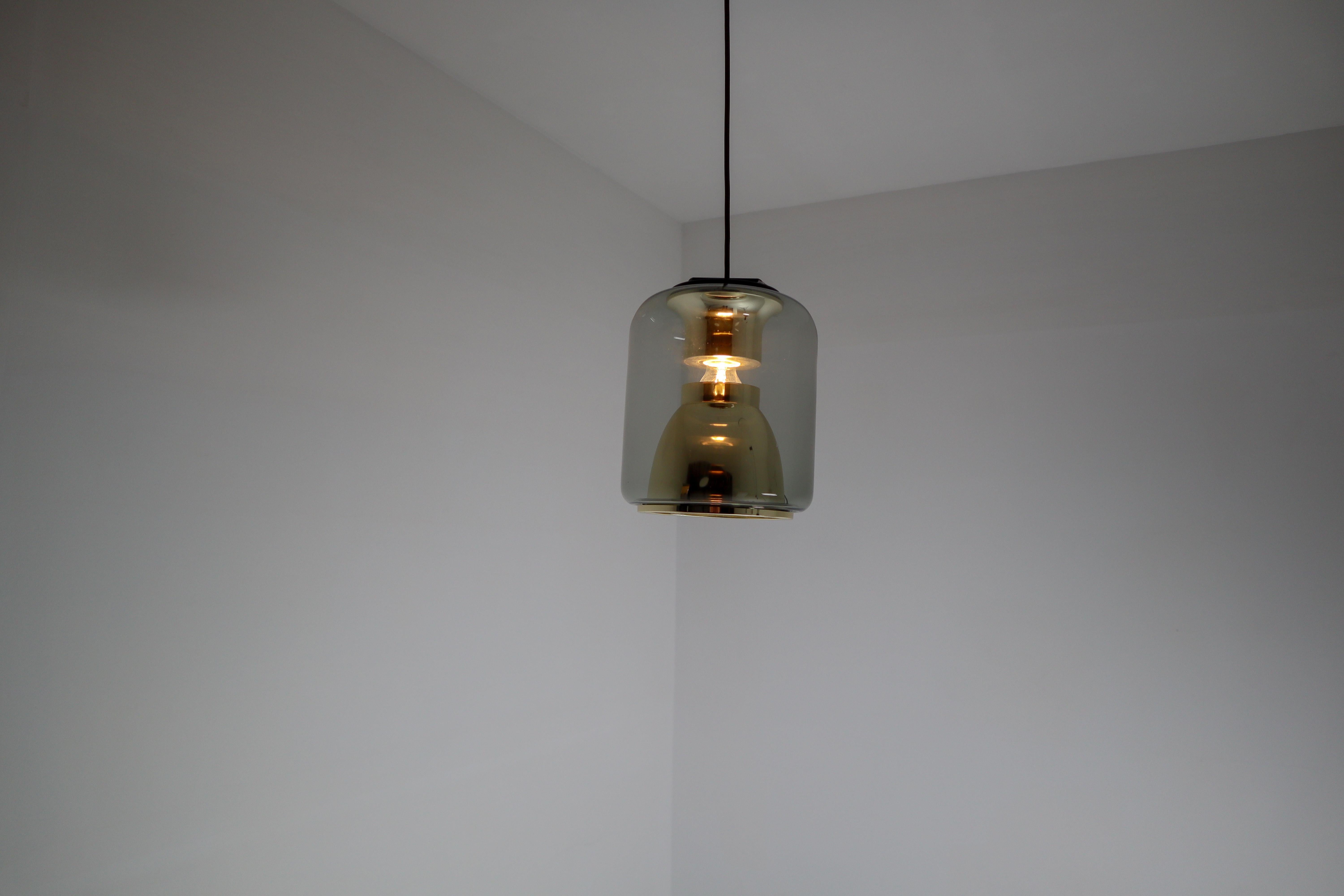 Vintage Suspension Lamp in Smoked Glass with Golden details, by ERCO, Germany  1