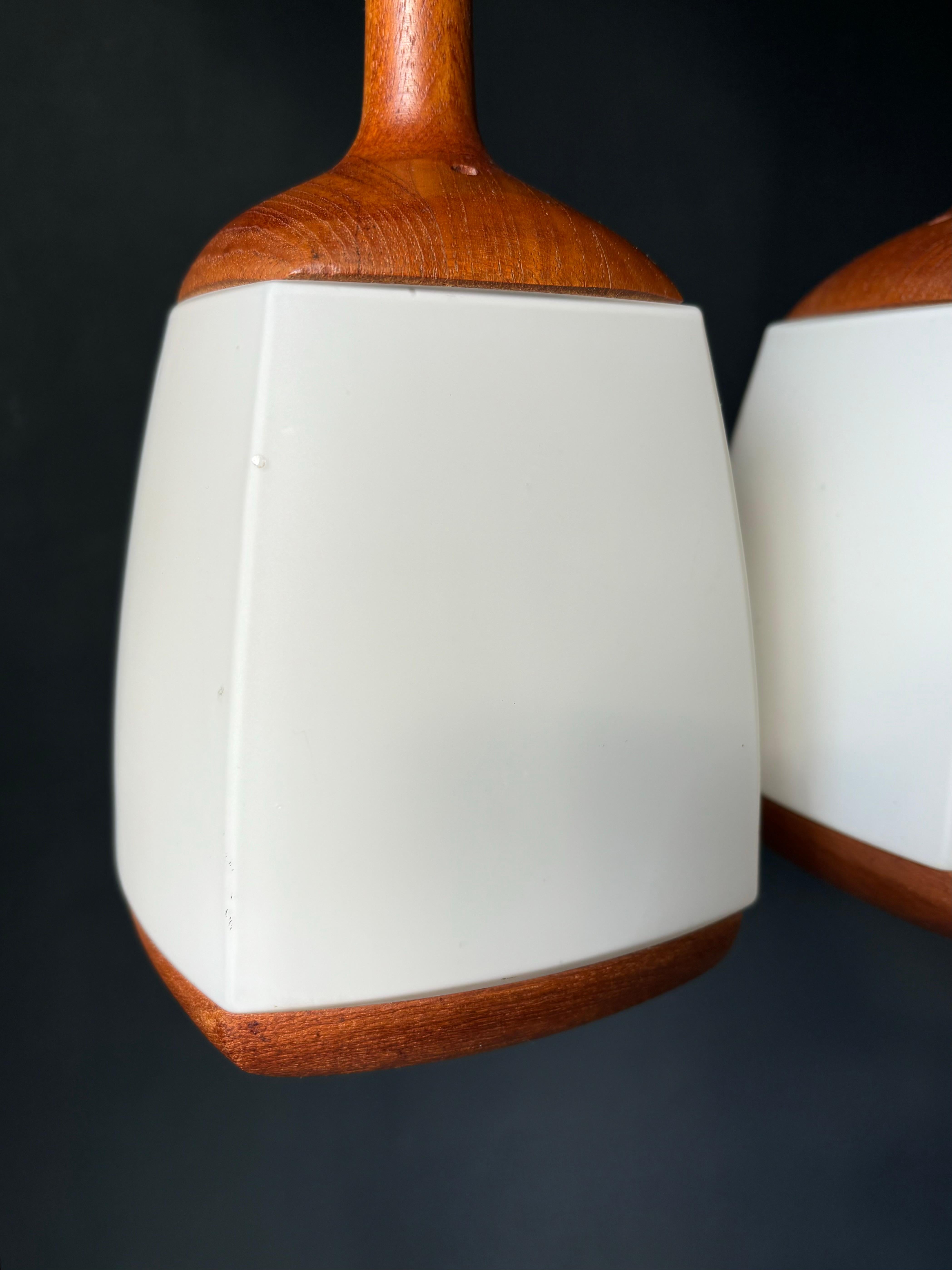 Swedish Double Arm Glass Wood Pendant, 1960s For Sale 1