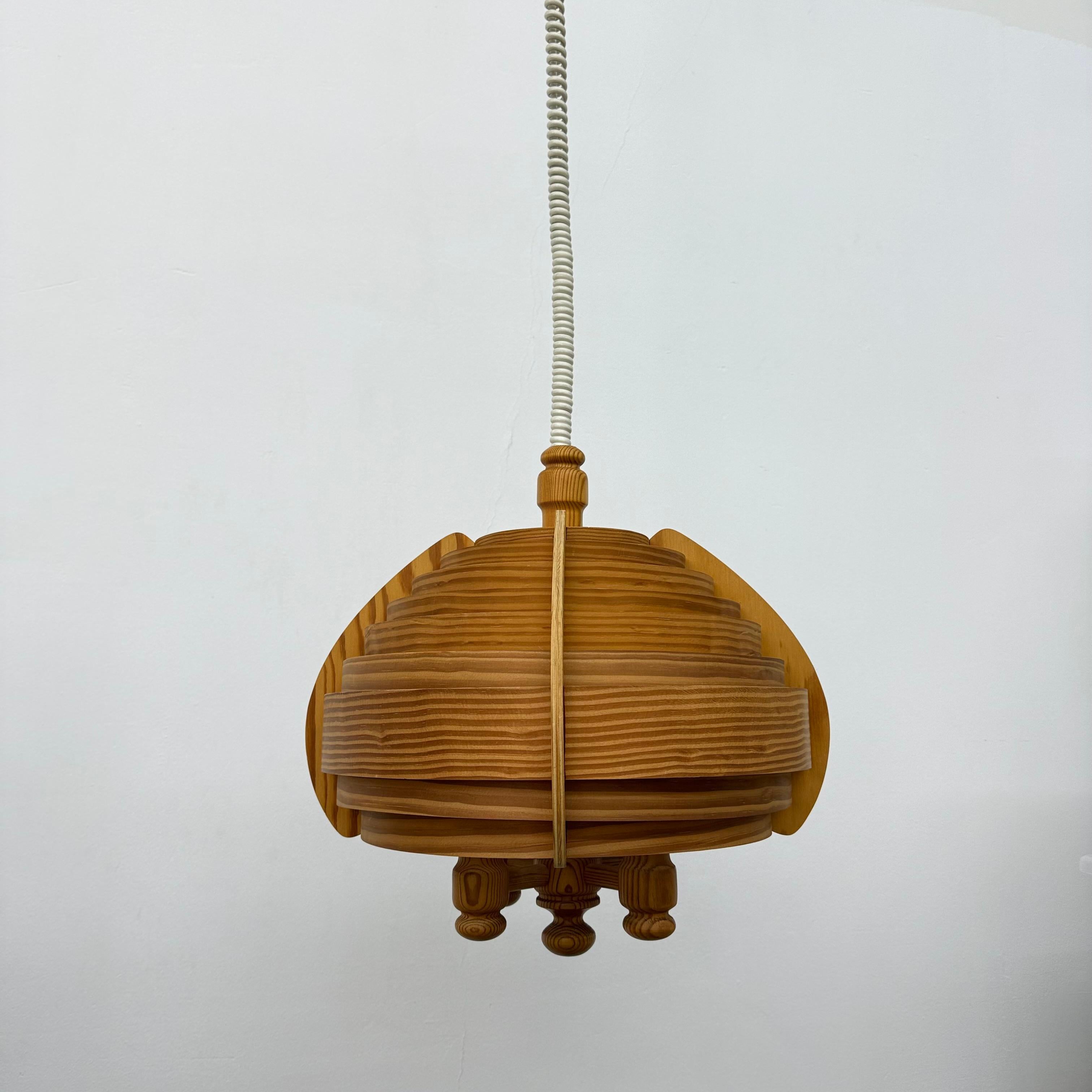 Vintage swedish Hans Agne Jackobsson lamella hanging lamp , 1970s en venta 9