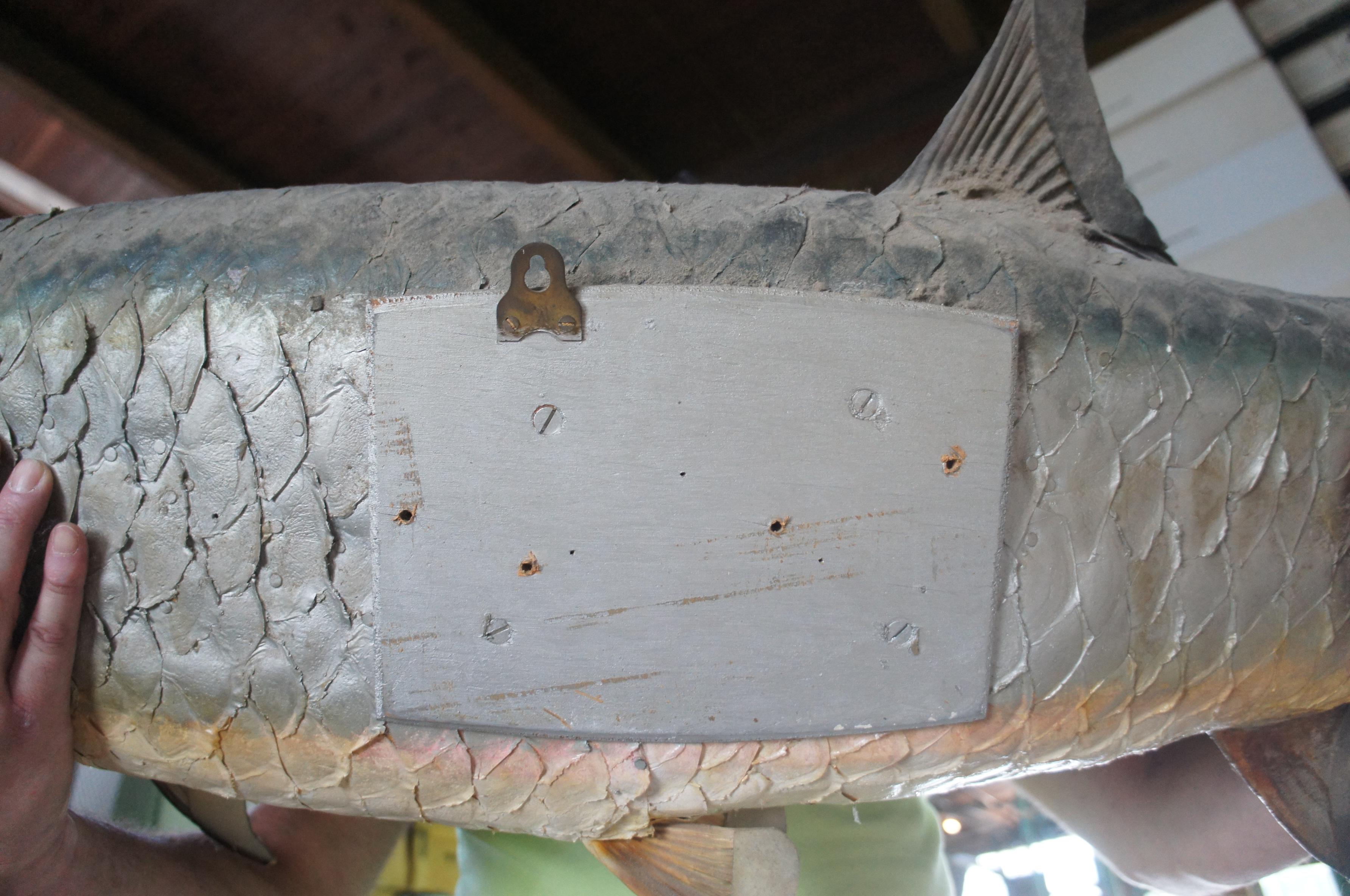 Vintage Tarpon Real Skin Taxidermy Fish Mount Fishing Lodge Home Decor 5