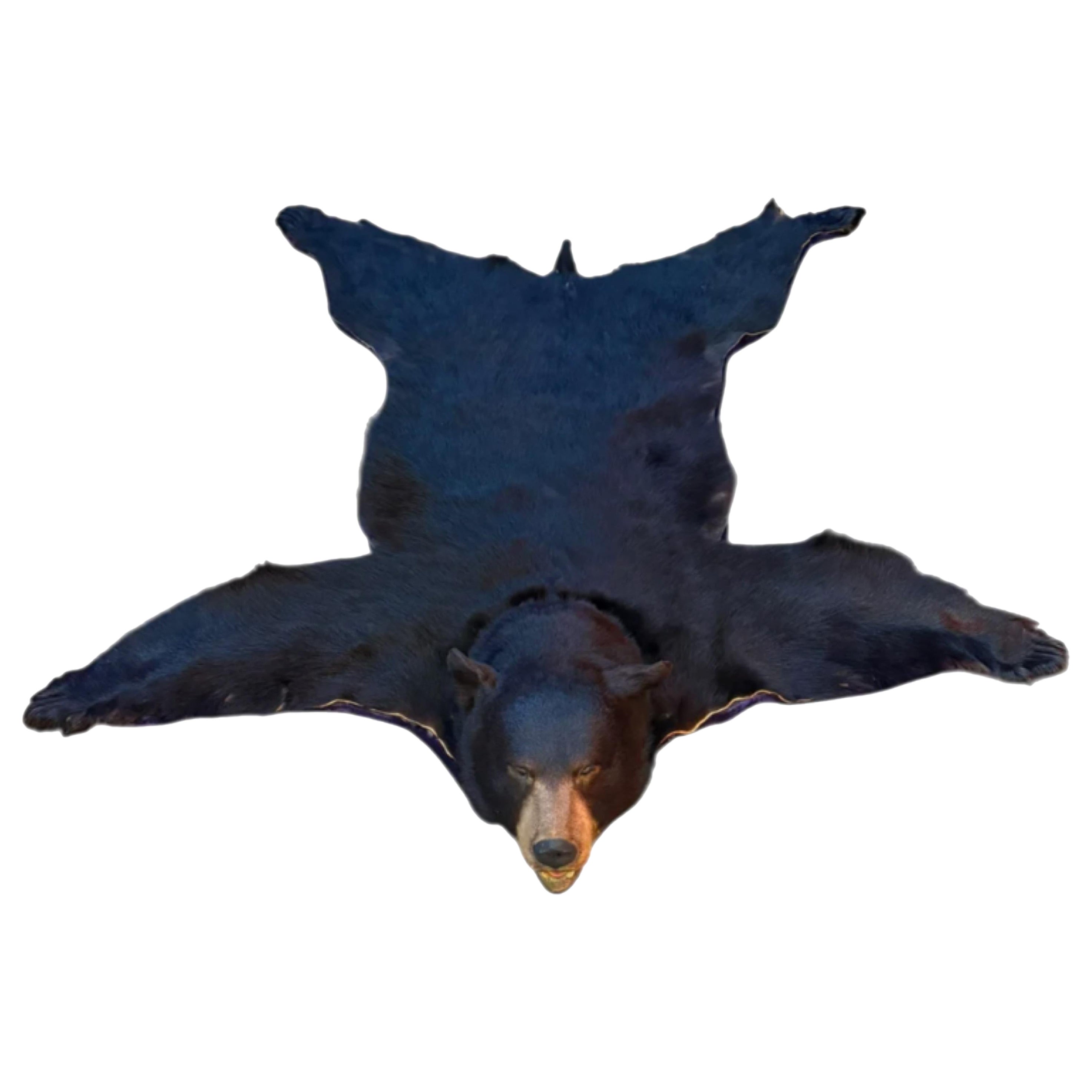 Tappeto con orso tassidermico vintage