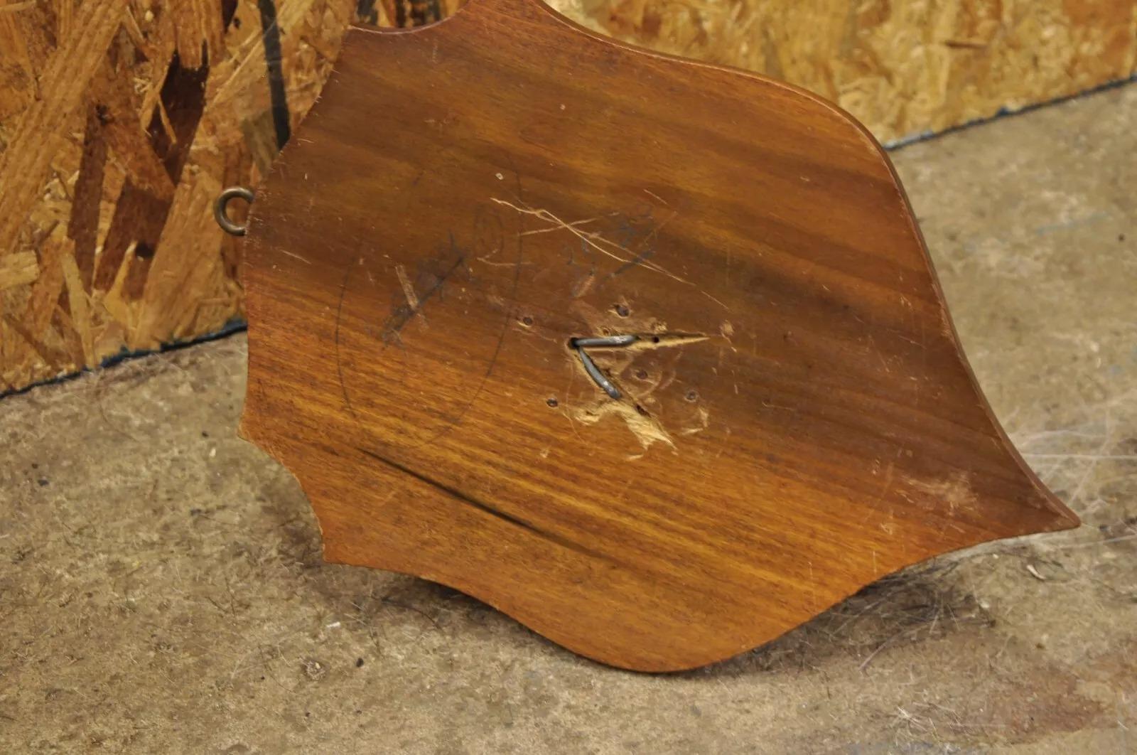 Pelliccia Tassidermia d'epoca Bobcat a spalla su placca da parete in legno Cabine Decor