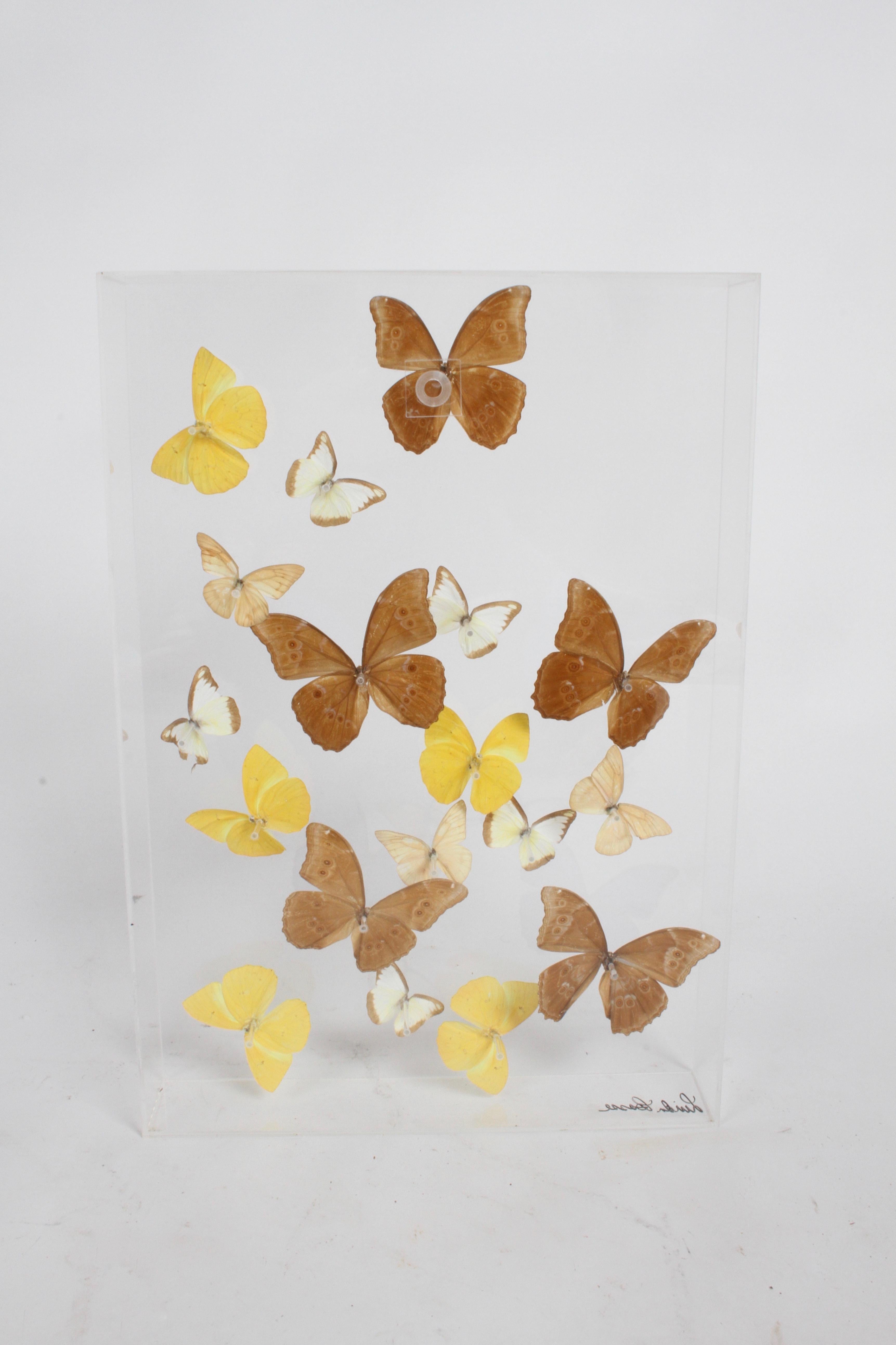 Vintage Taxidermy Butterfly Collection in Lucite Display Signed by Linda Bosse For Sale 1