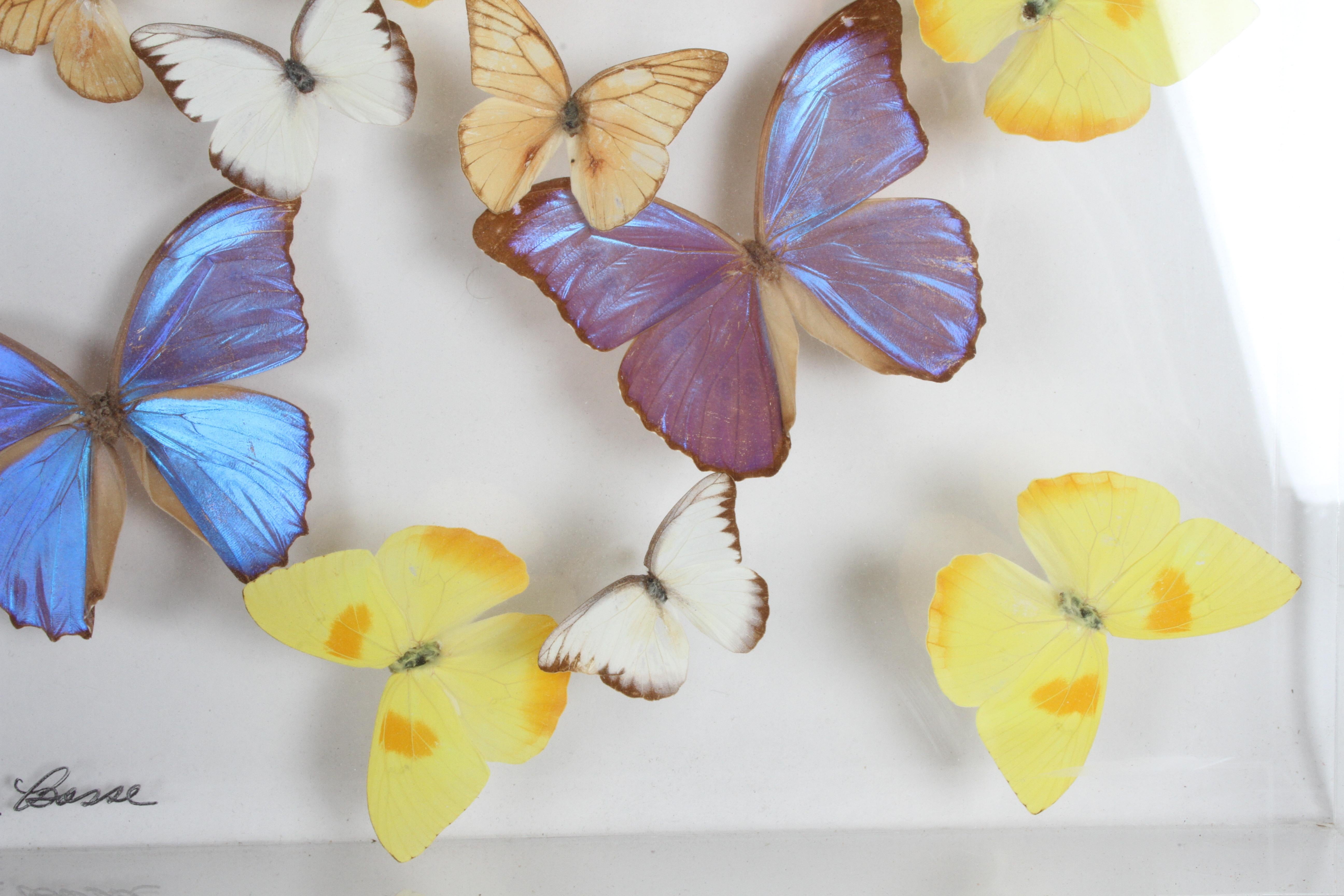 Mid-Century Modern Vintage Taxidermy Butterfly Collection in Lucite Display Signed by Linda Bosse For Sale