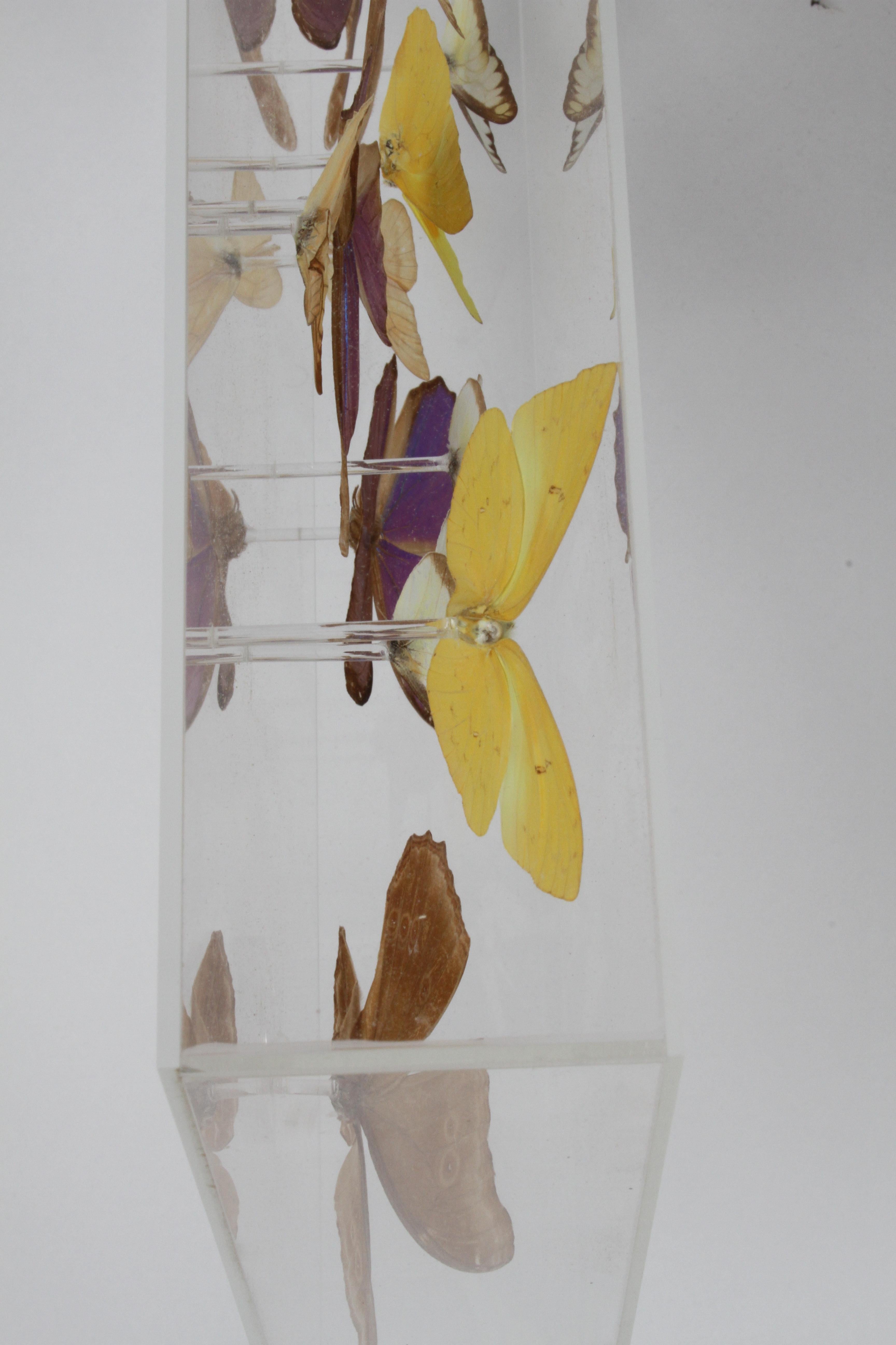 American Vintage Taxidermy Butterfly Collection in Lucite Display Signed by Linda Bosse For Sale