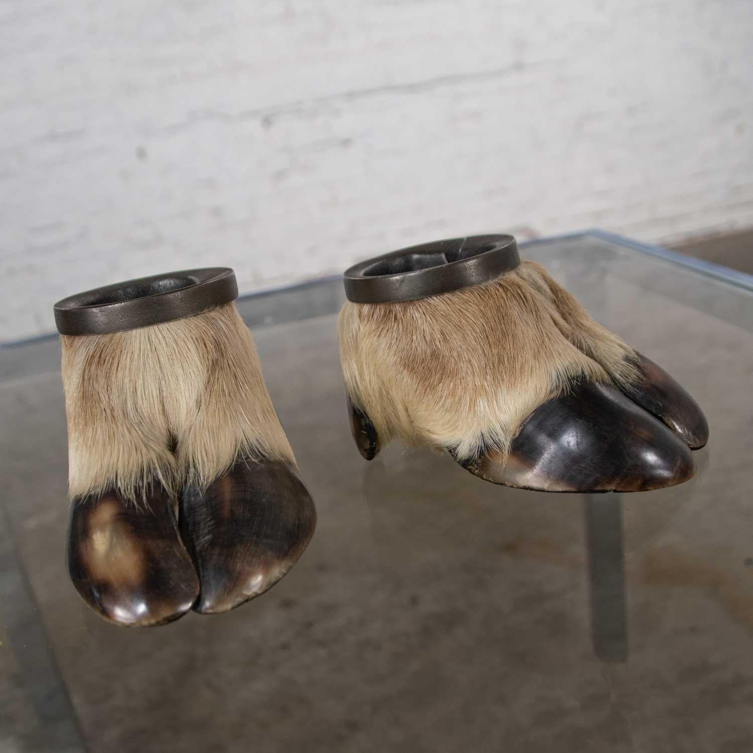 Wonderful vintage taxidermy caribou hooves with bronze ash tray insert vide-poche, coin holder or candleholder. Beautiful vintage condition. Please see photos, circa 1969. 

We’re pretty sure these feet have walked up hill, both ways, in the snow,