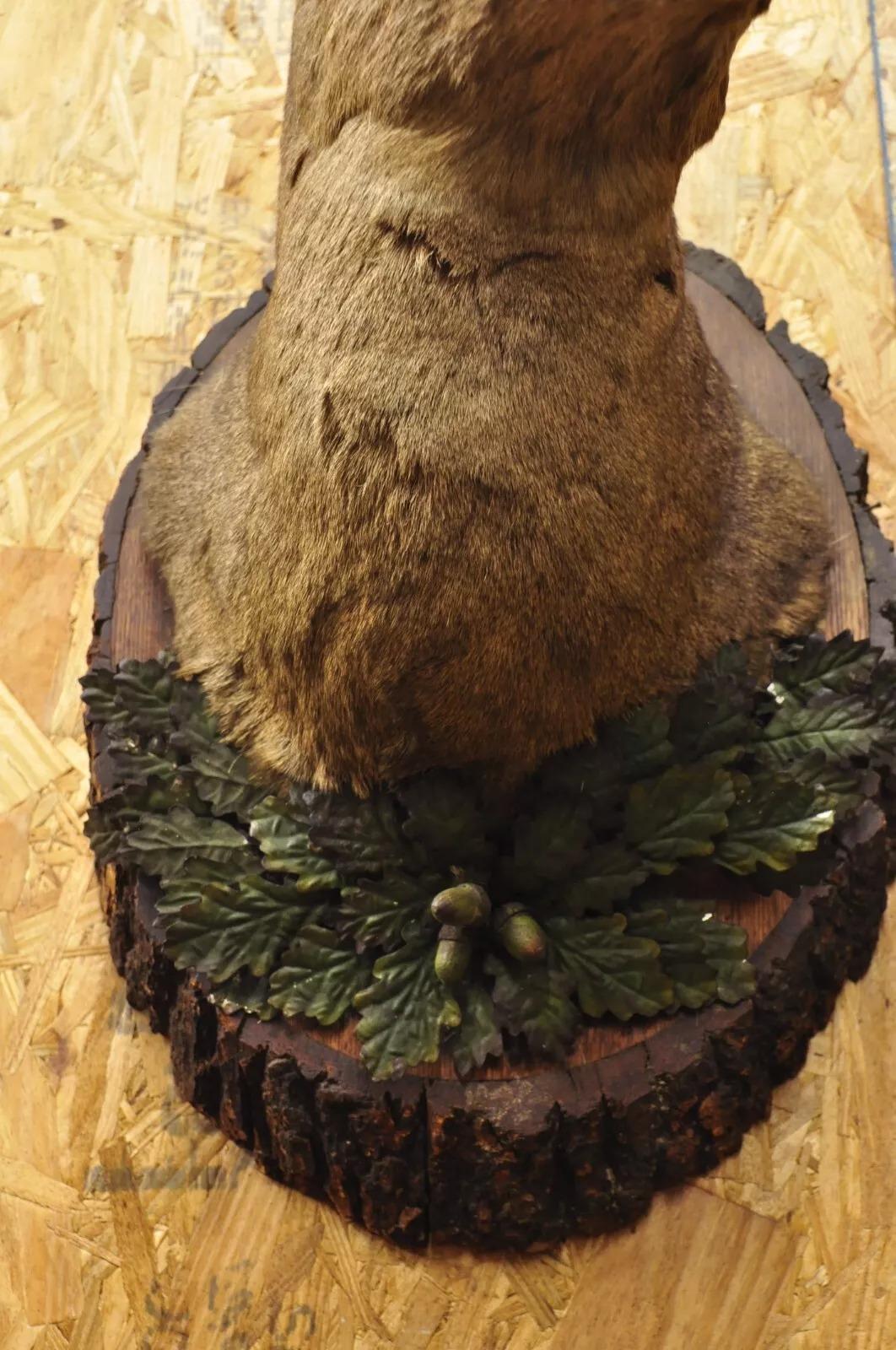 Vintage Taxidermy Deer Shoulder Mount Wall Decor w/ Metal Leaves (R&L) - a Pair For Sale 6