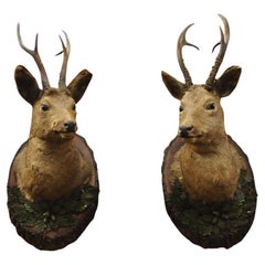 Vintage Taxidermia Ciervo Montaje en el Hombro Decoración de Pared con Hojas de Metal (R&L) - un Par