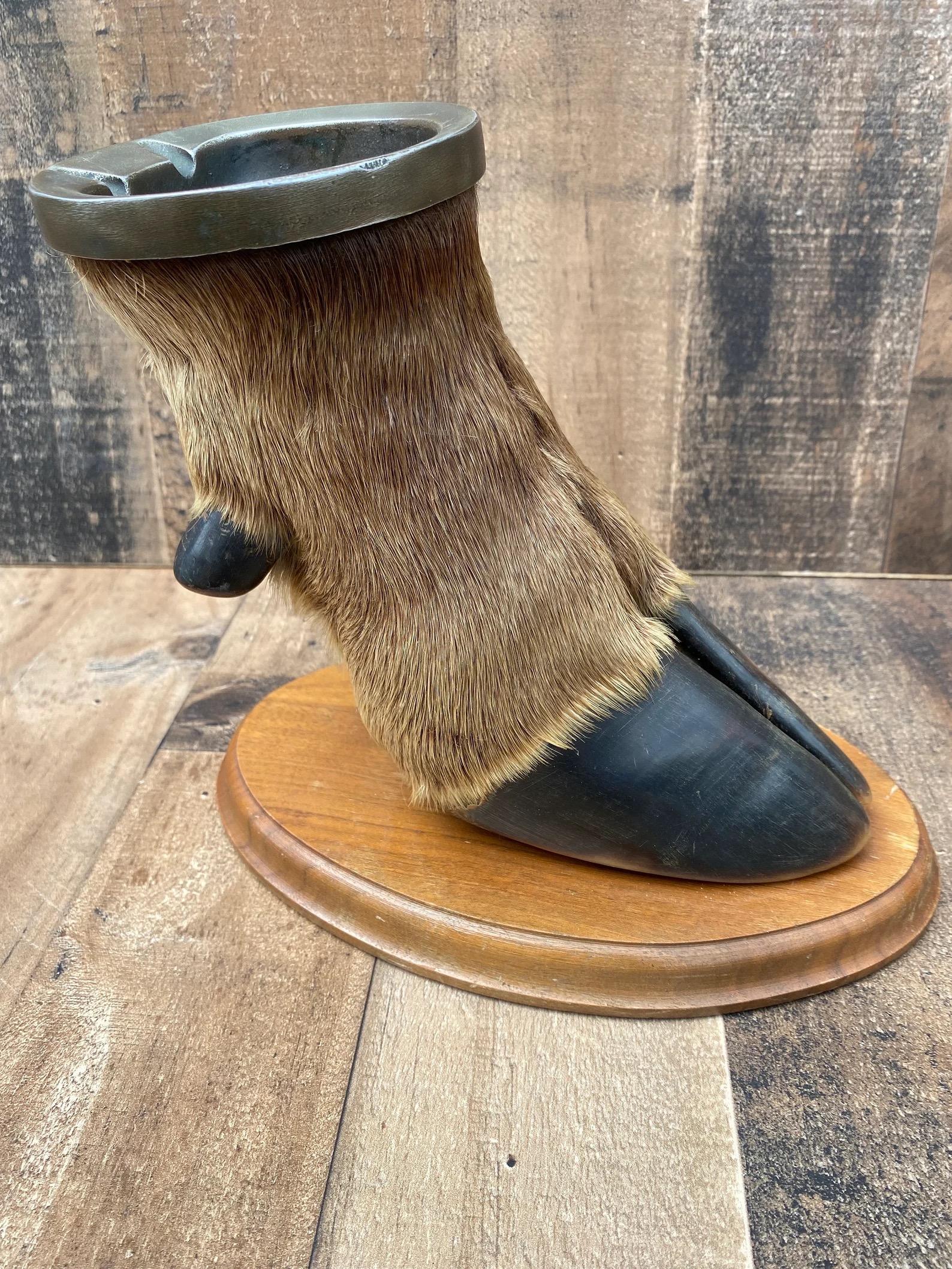 Vintage Taxidermy Elk Foot Ash Tray on Wooden Base

Featuring vintage taxidermy elk hoof ashtray on wooden base. Perfect for your private lodge or hotel.

