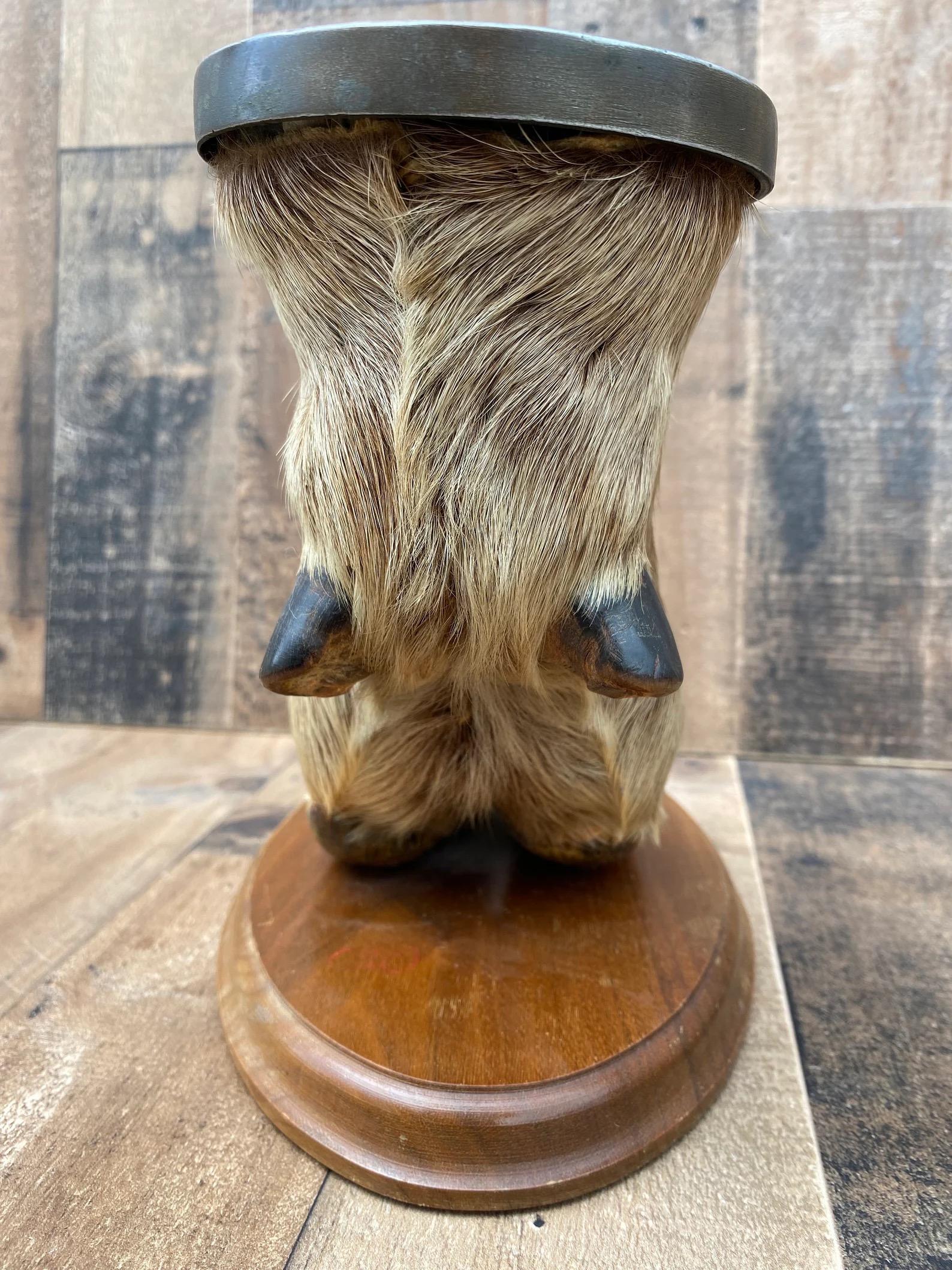 Mid-Century Modern Vintage Taxidermy Elk Foot Ash Tray on Wooden Base
