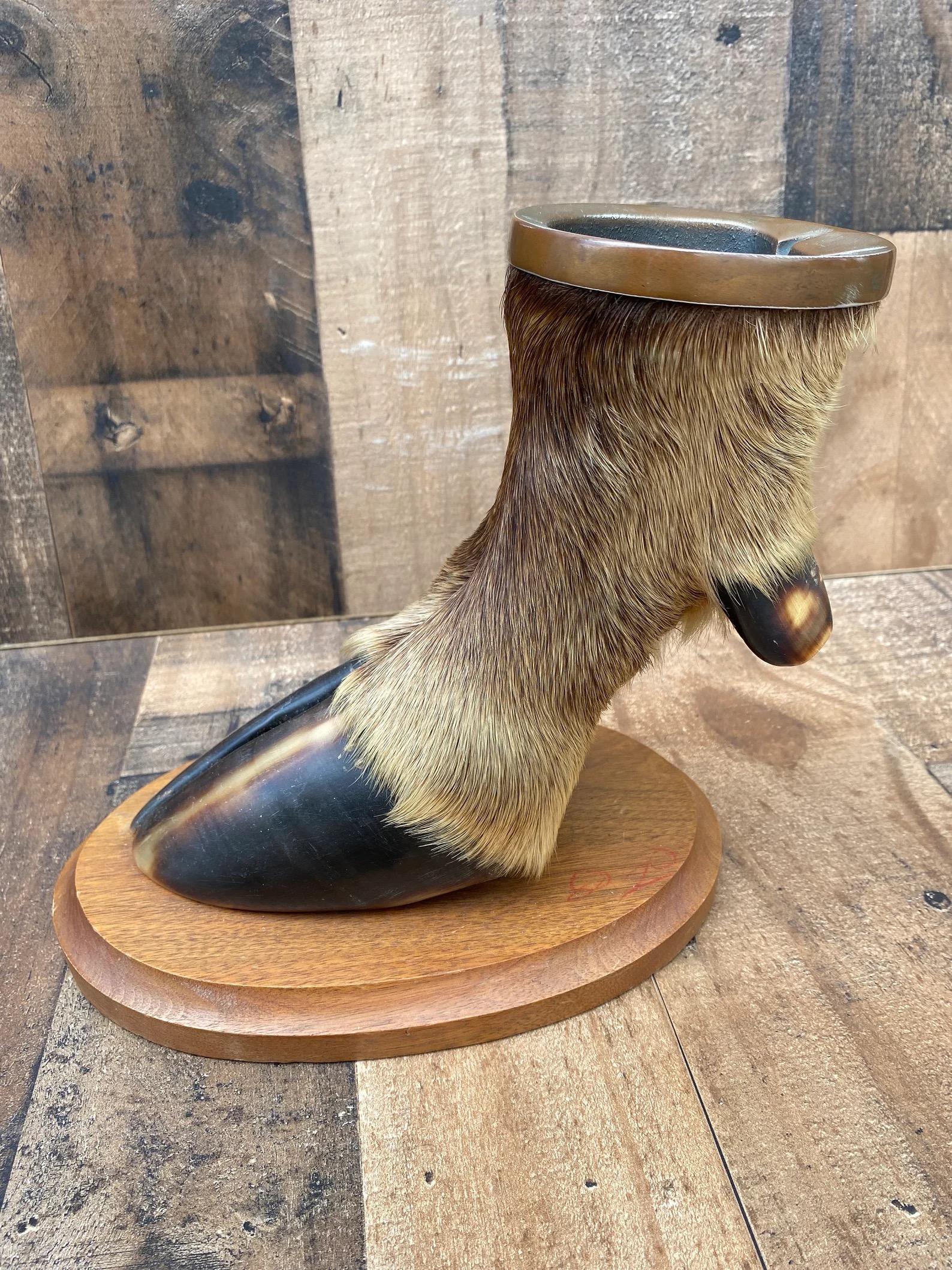 Unknown Vintage Taxidermy Elk Foot Ash Tray on Wooden Base