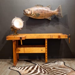 Pesce tassidermico d'epoca, 1950-1970 ca.