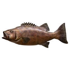 Pesce tassidermico d'epoca, 1950-1970 ca.