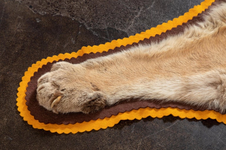 Vintage Taxidermy Mountain Lion Skin Rug For Sale at 1stdibs