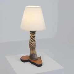 Vintage Taxidermy Zebra Hoof Table Lamp with Africa Map Base, Early 1970s