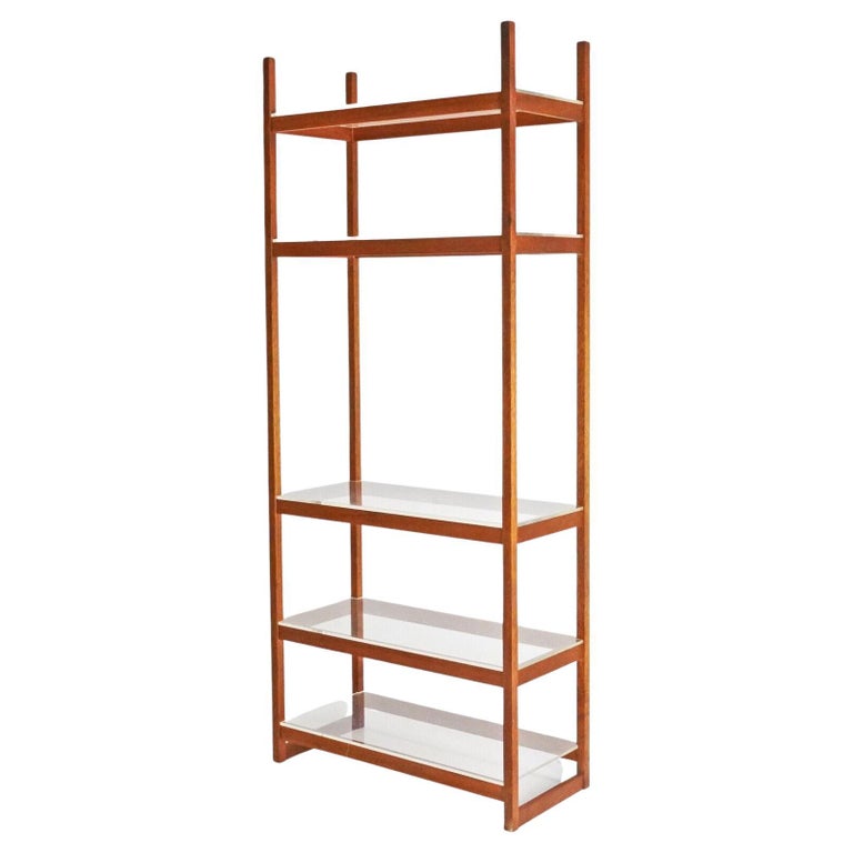 Vintage Teak and Clear Perspex Shelving Unit Bookcase For Sale at 1stDibs