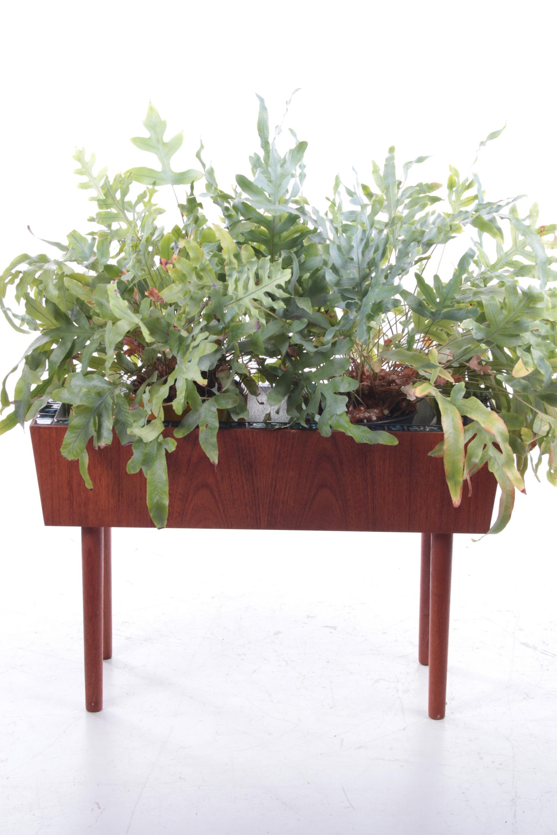 Vintage teak planter with mosaic tiles, 1960


This fun planter is perfect to put in your home with some nice plants and flowers in it.

It is made of teak in Denmark with beautiful solid teak legs.

We have had a new metal box made in it, so