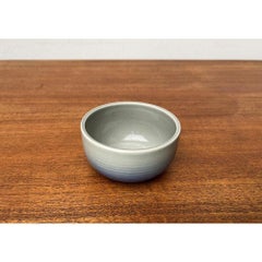 Vintage Terra Series Bowl by Wolf Karnagel for Rosenthal, 1980s