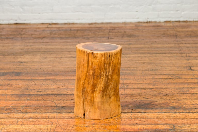Vintage Thai Rustic Tree Stump Pedestal, Stool or Drinks Table In Good Condition For Sale In Yonkers, NY