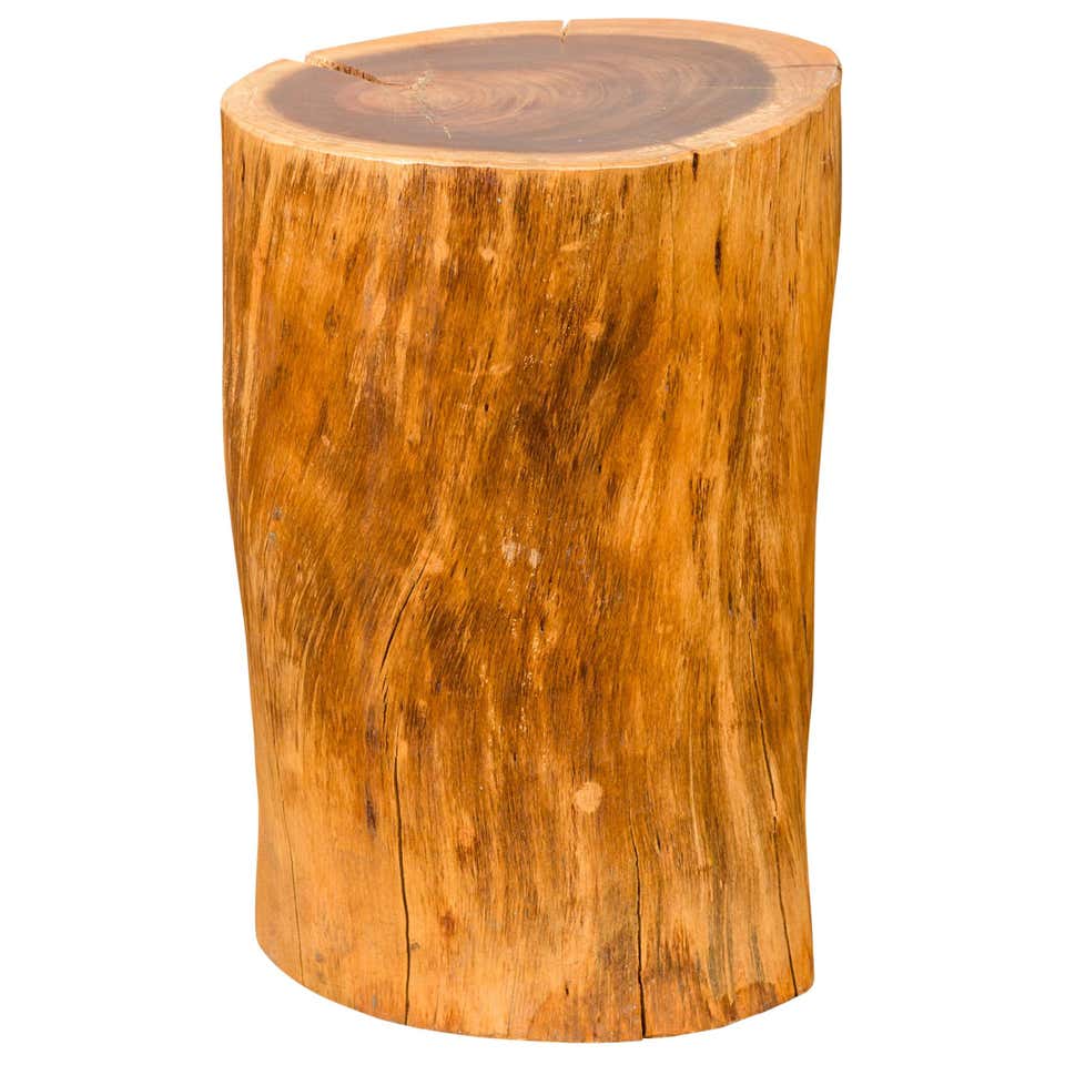 Rustic Tree Stump Tree Stump - 359 For Sale on 1stDibs | tree stump for sale, tree stumps ...